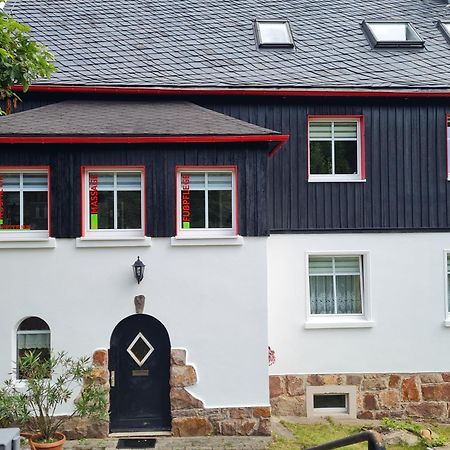 Апартаменты Haus Fernblick Kurort Baerenburg Экстерьер фото